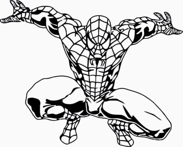 War Pose Of Spider-Man coloring page