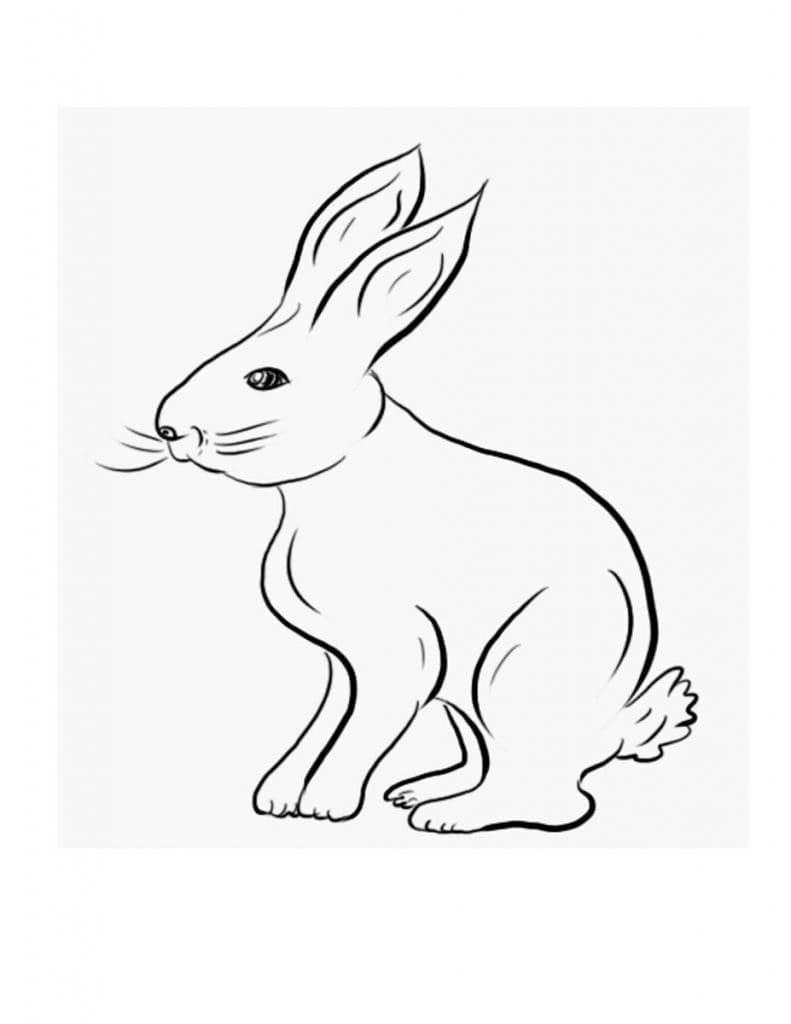 White Rabbit coloring page