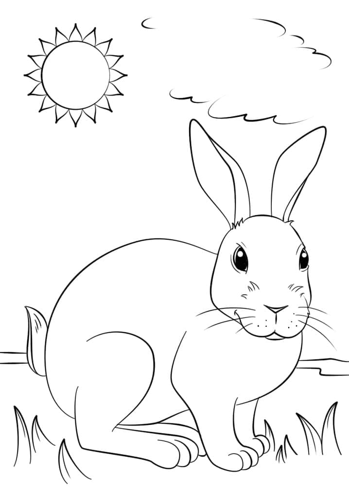 Wild Rabbit coloring page