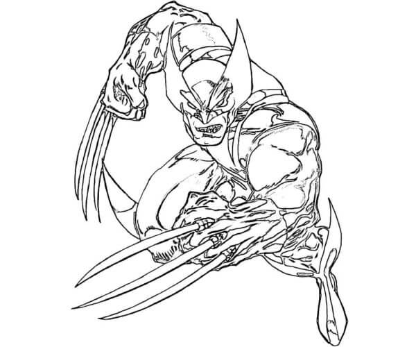 Wolverine Fighting coloring page