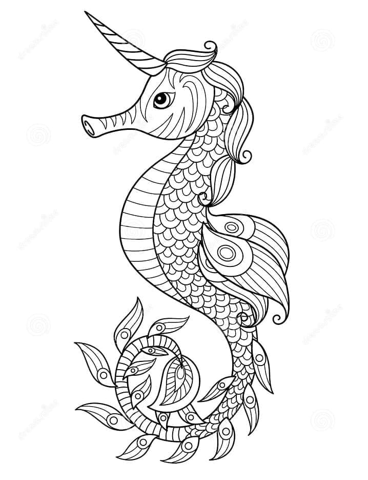 Wonderful Seahorse coloring page