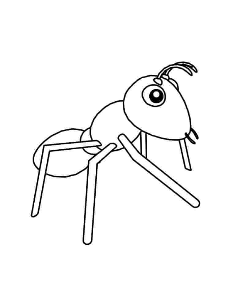 Amazing Ant coloring page