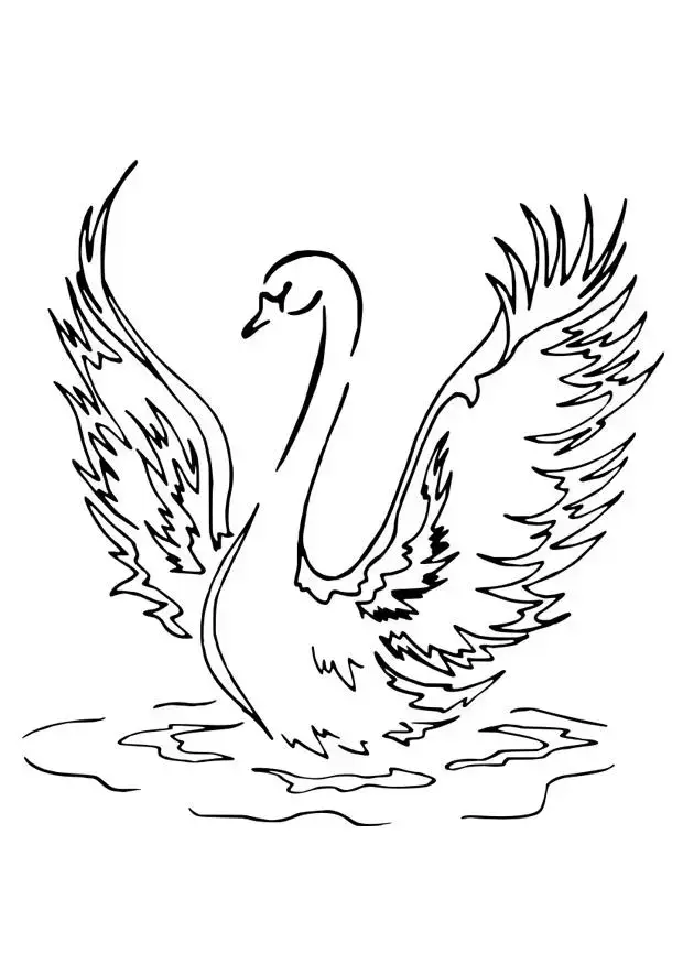 Amazing Swan coloring page