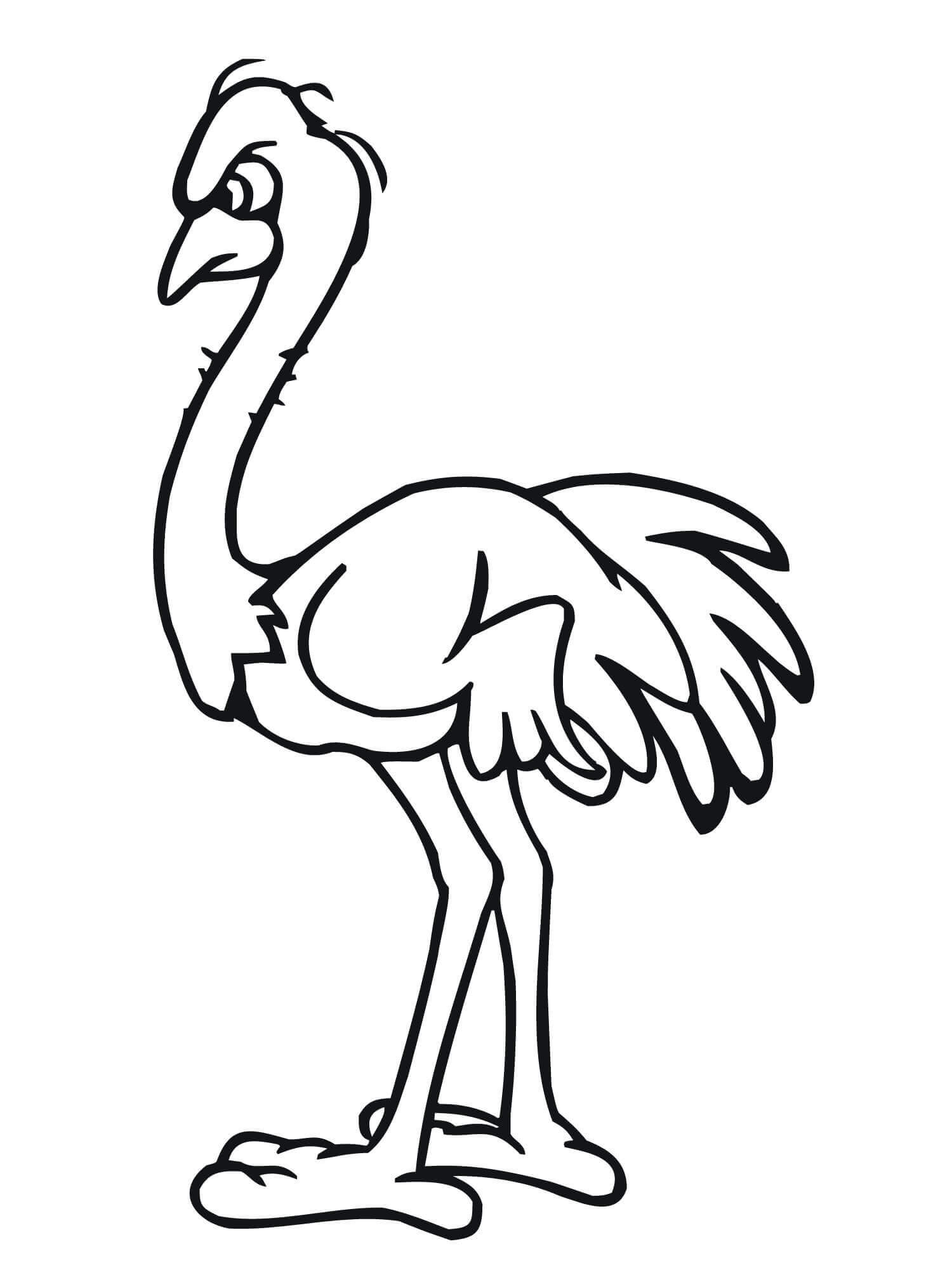 Angry Ostrich coloring page