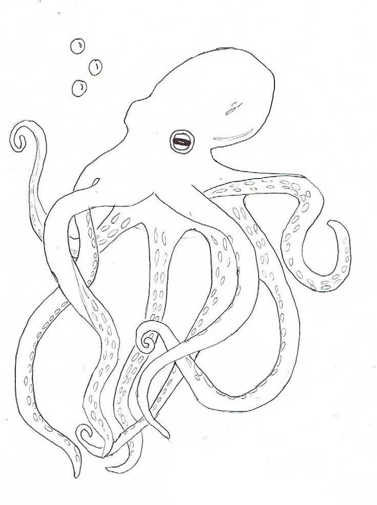 How to draw and color an octopus - Video Dailymotion