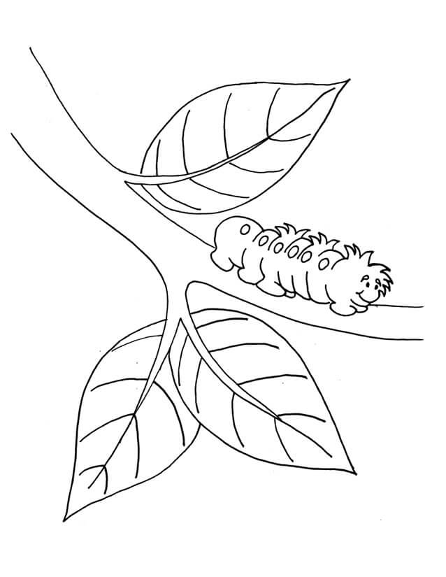 Basic Worm On Branch Tree