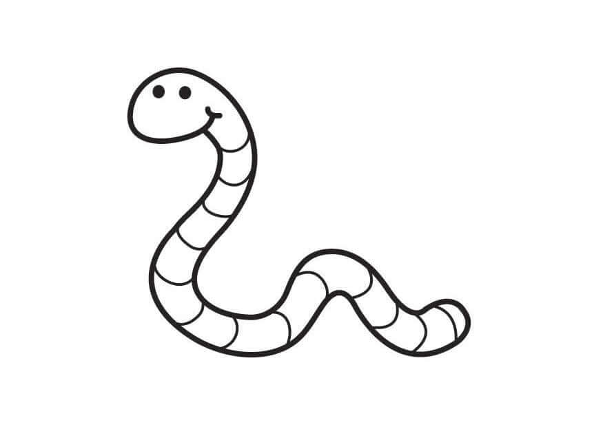 earthworm coloring pages