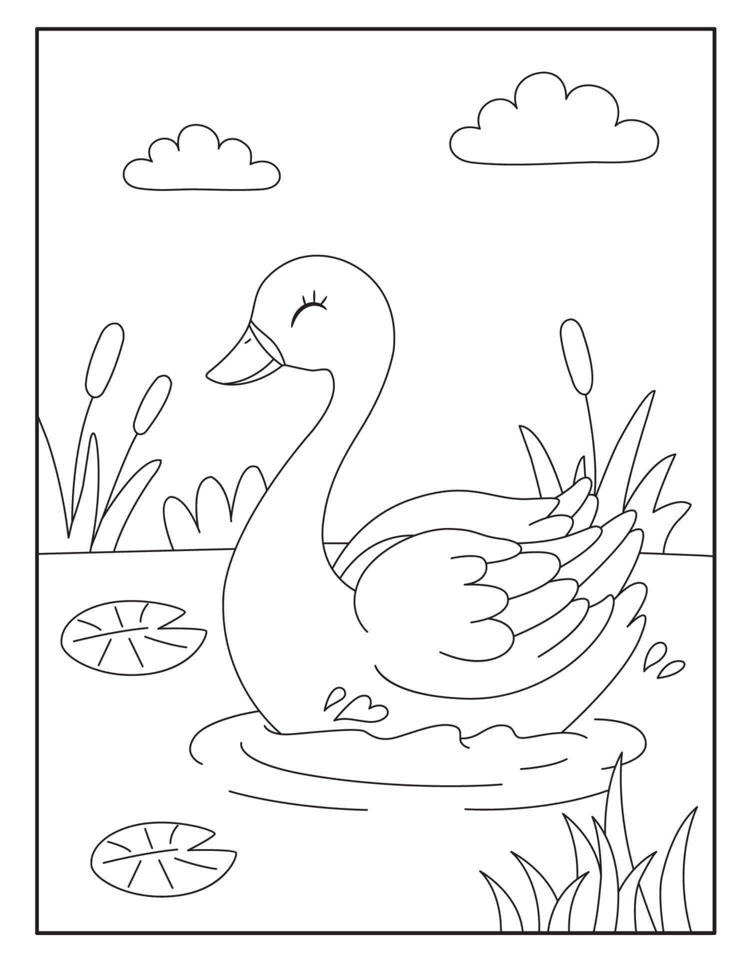 Cute Swan coloring page