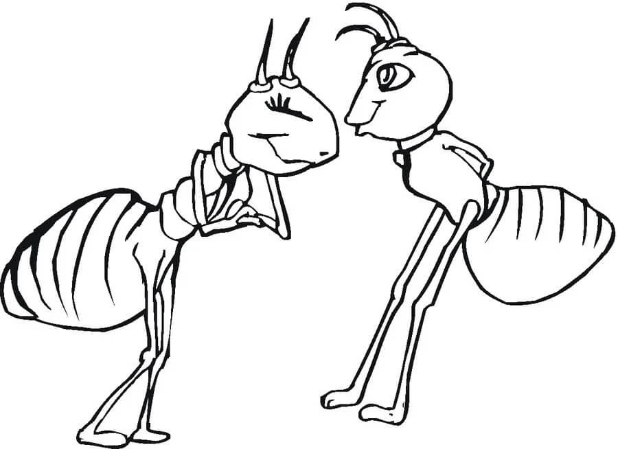 Drawing Couple Ant