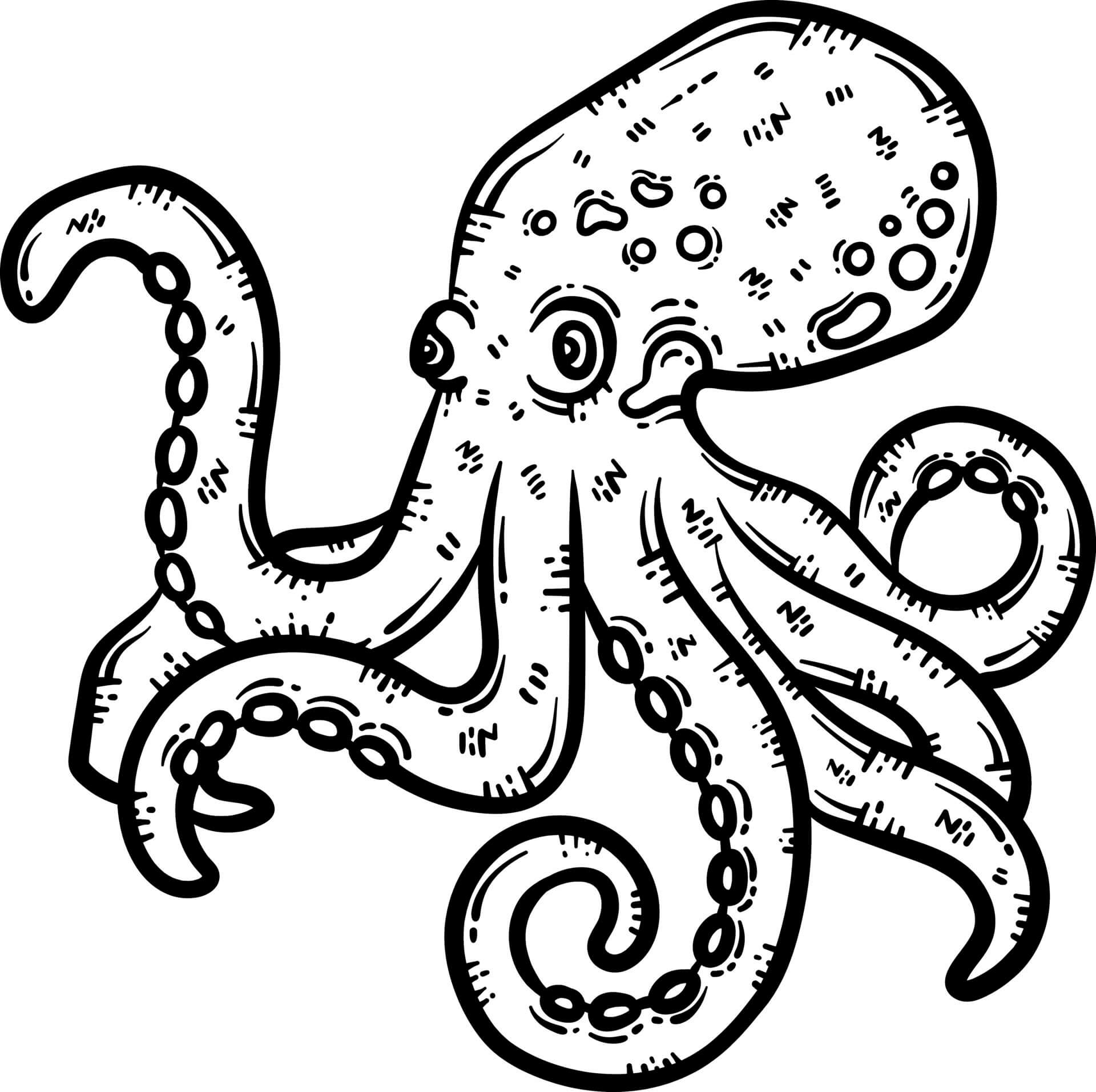 Drawing Octopus coloring page - Download, Print or Color Online for Free