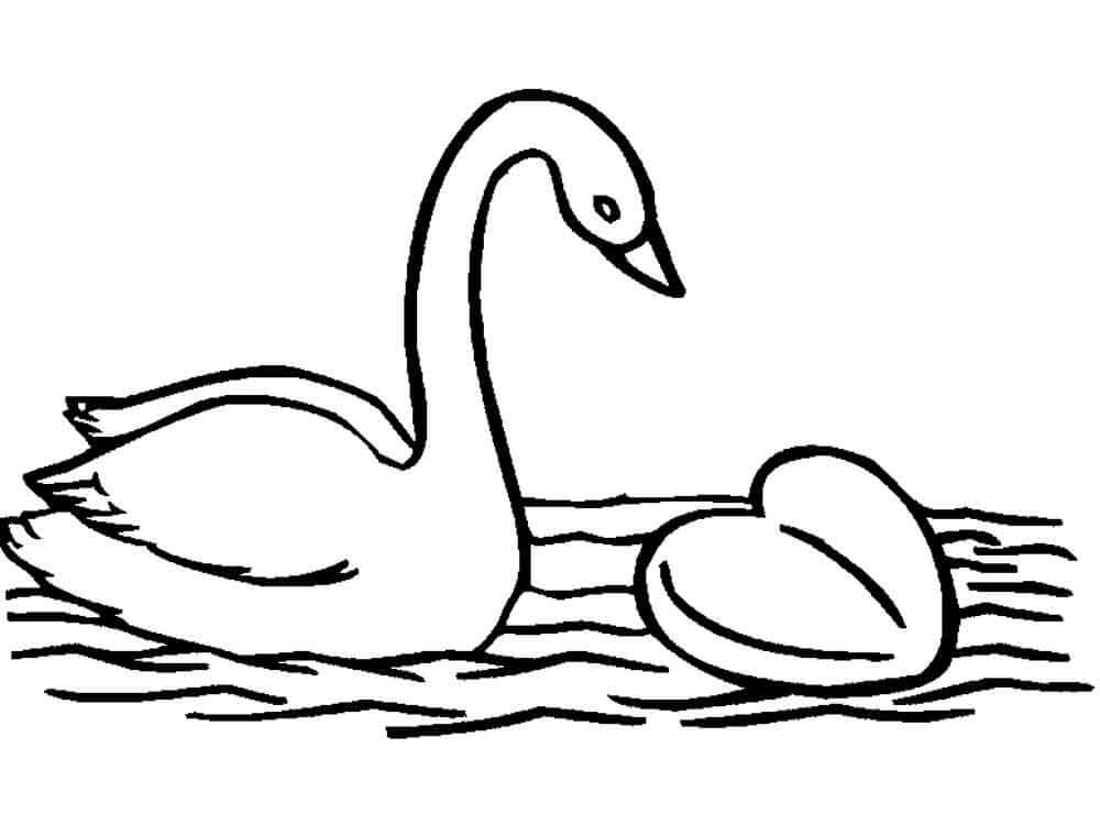 Drawing Swan With Heart coloring page - Download, Print or Color Online ...