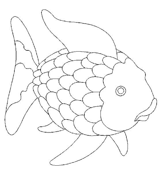 Free Rainbow Fish coloring page