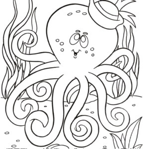 Funny Octopus