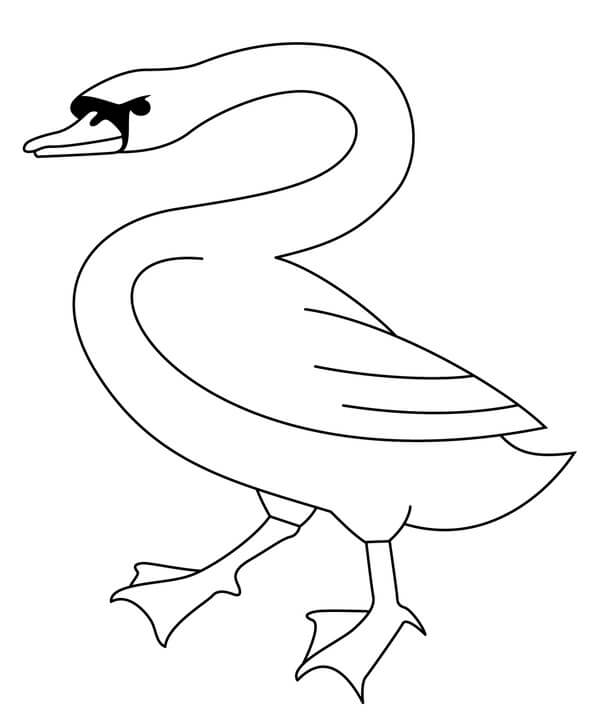 Funny Swan coloring page