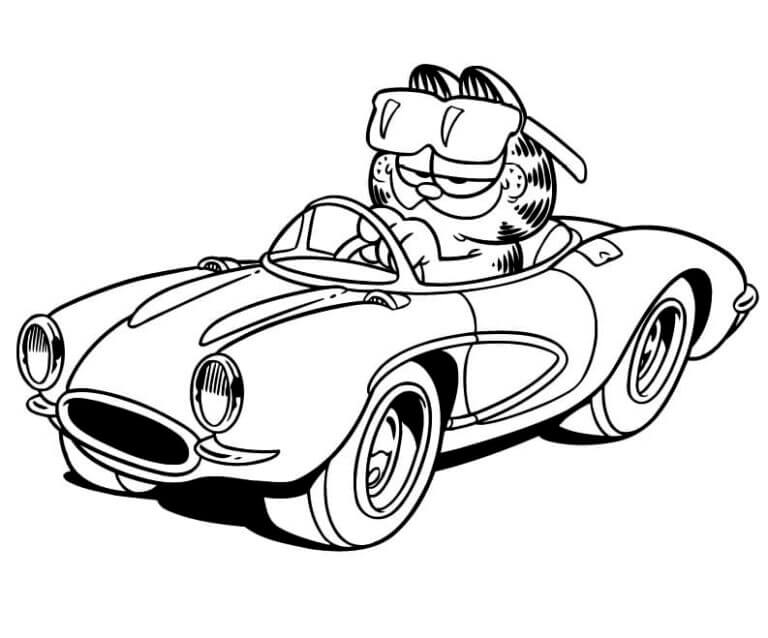 Garfield In A Convertible