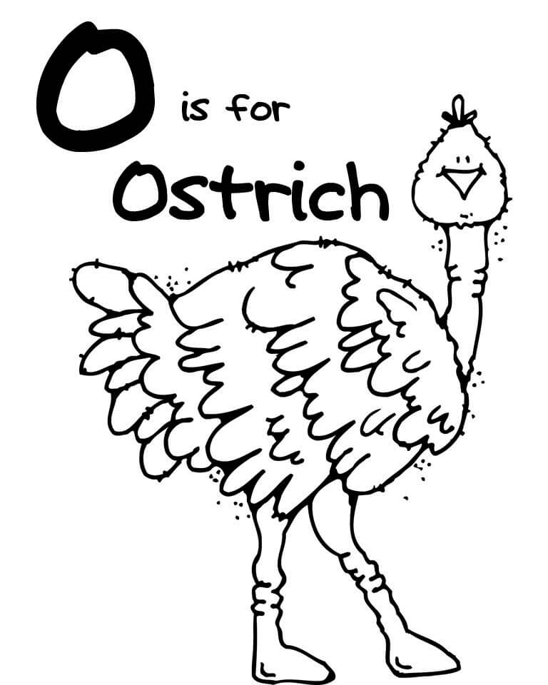 Letter O is for Ostrich