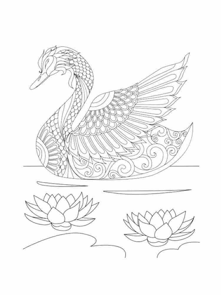 Mandala Swan With Flowers