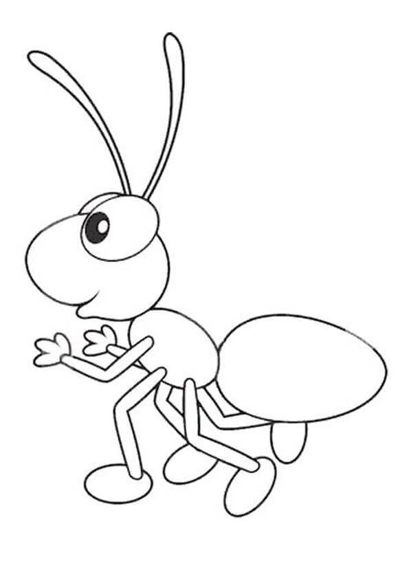 Normal Ant