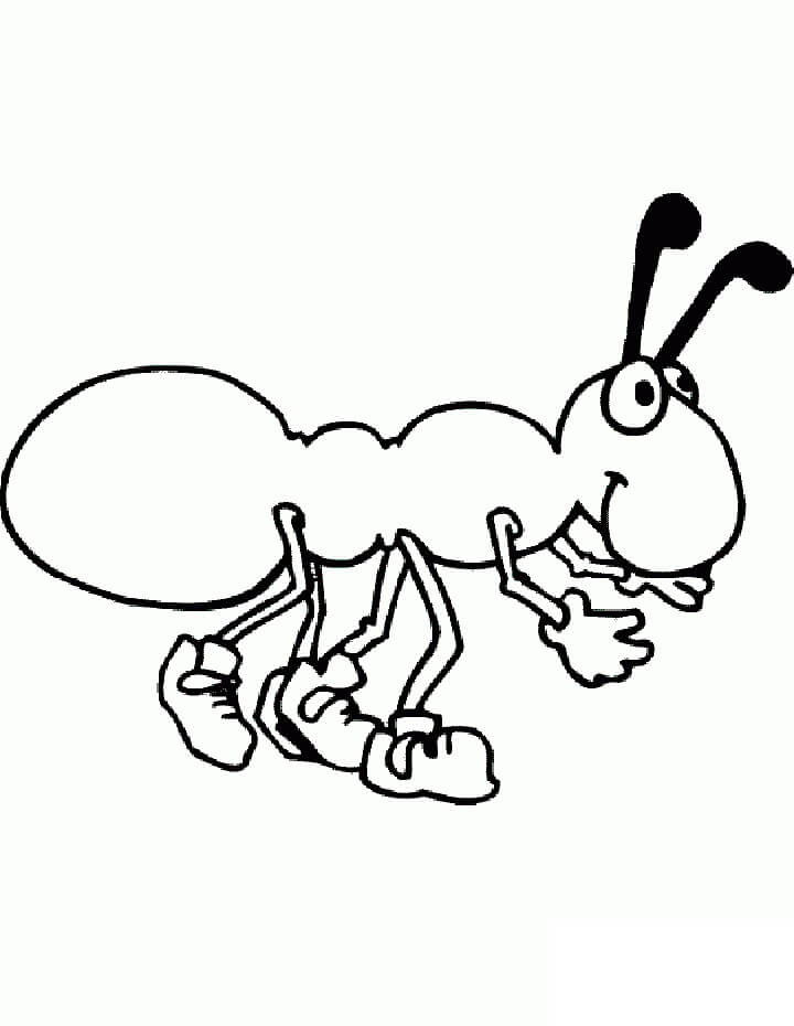 Normal Drawing Ant coloring page