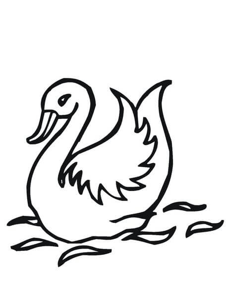 Normal Drawing Swan coloring page