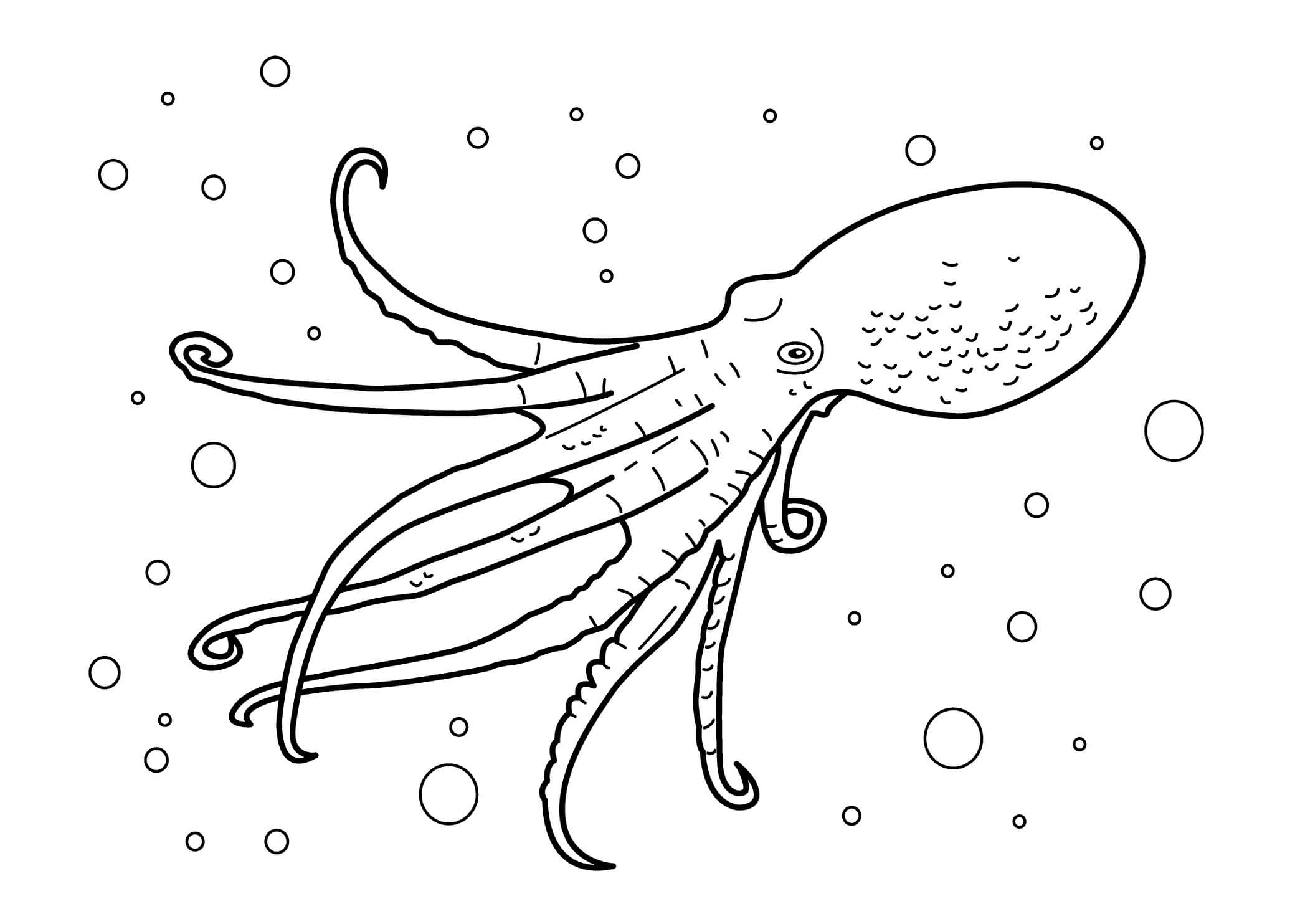 Octopus 1 coloring page - Download, Print or Color Online for Free