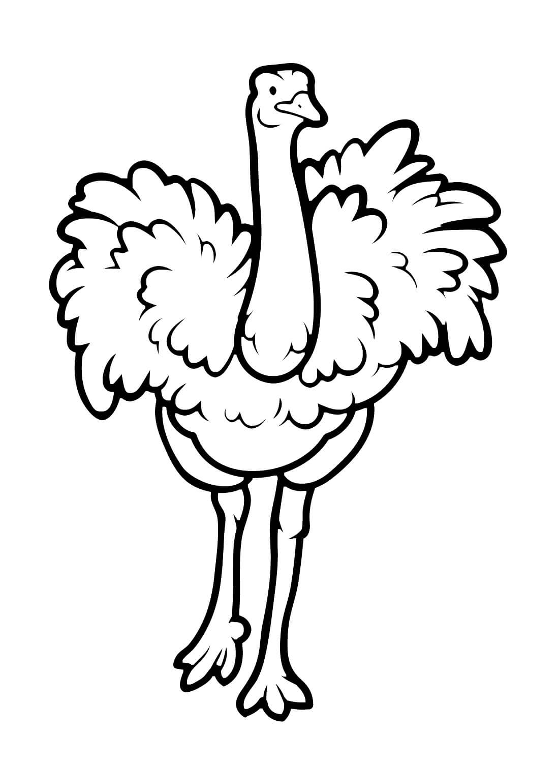 Ostrich Catwalk coloring page