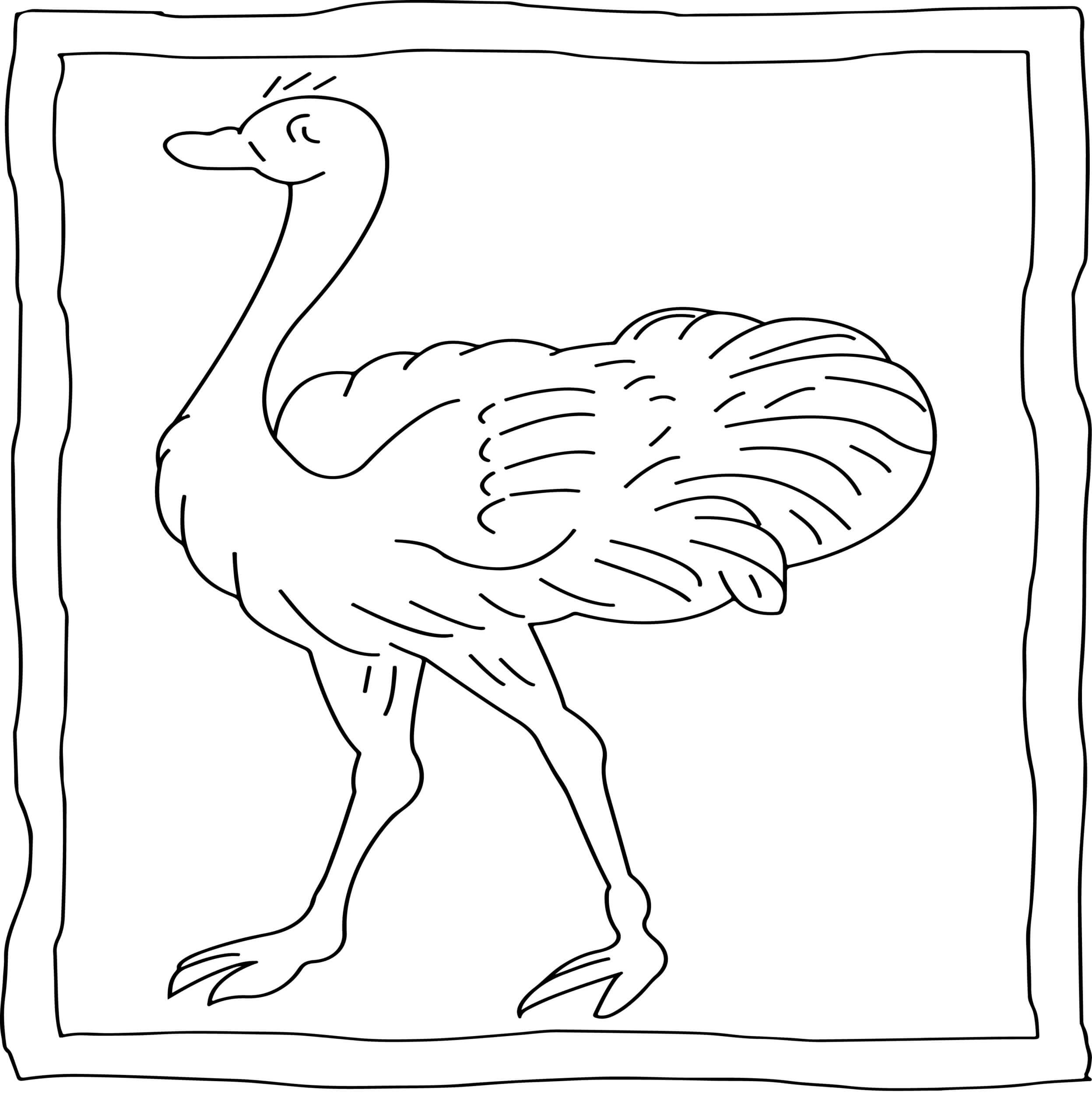 Perfect Ostrich coloring page