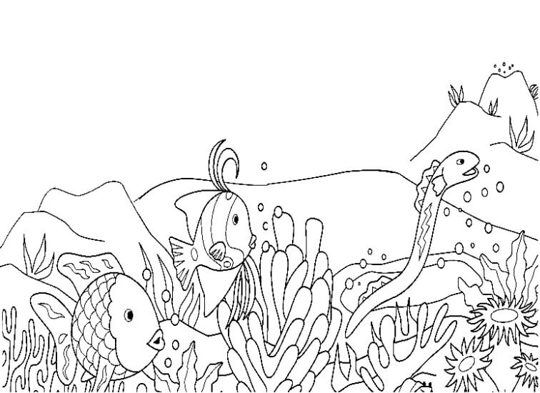 Rainbow Fish Free Images coloring page