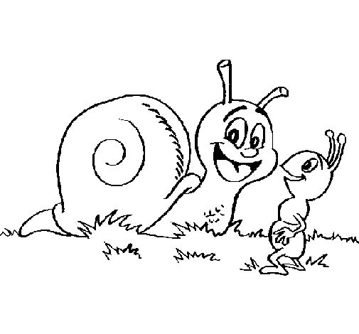 Snail And Ant