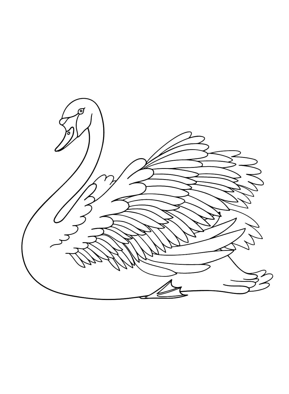 Swan 1 coloring page - Download, Print or Color Online for Free