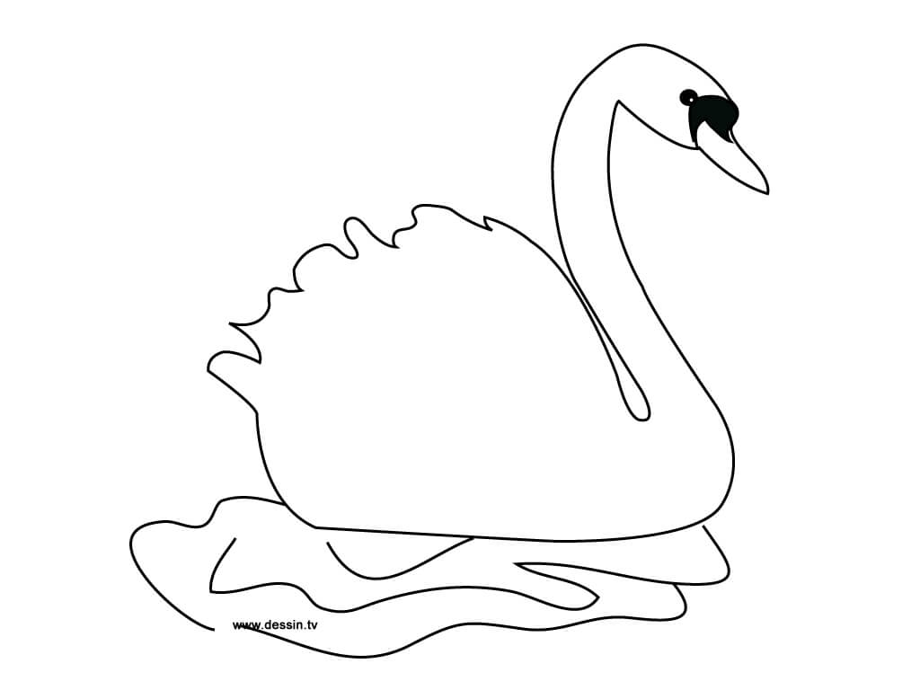 Swan Free Idea coloring page