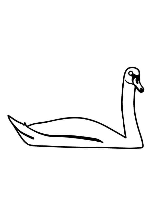 Swan Free To Use coloring page