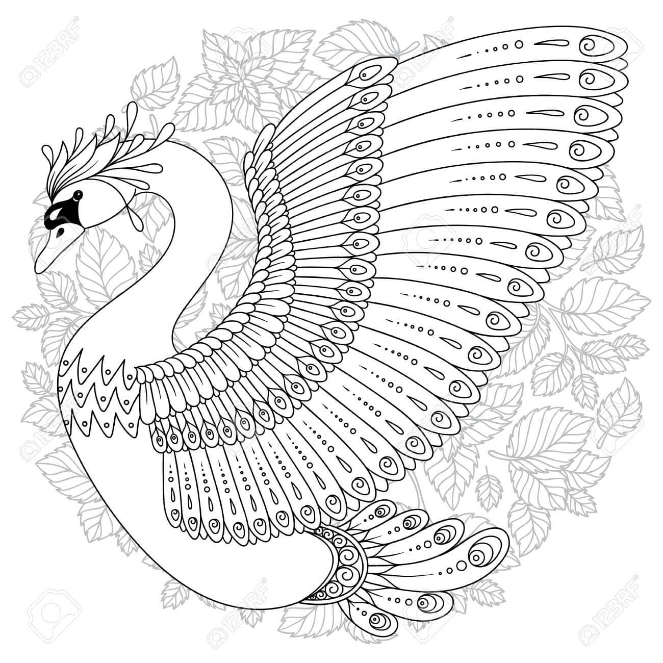 Swan Is For Adult Coloring Page Download Print Or Color Online For Free 6764