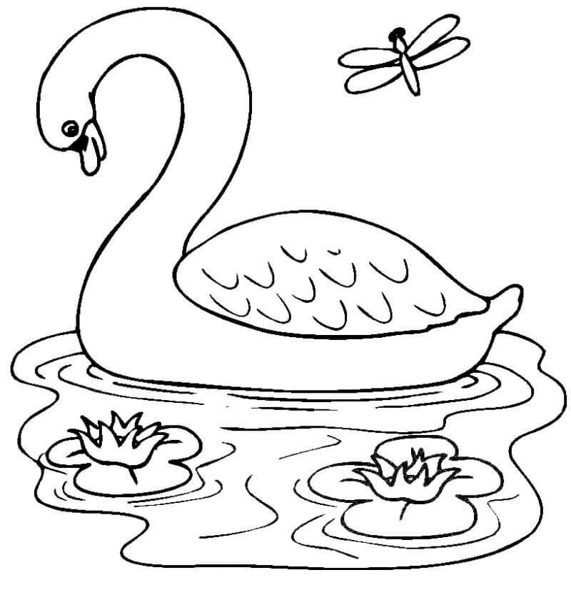 Swan With Dragonfly And Flowers coloring page