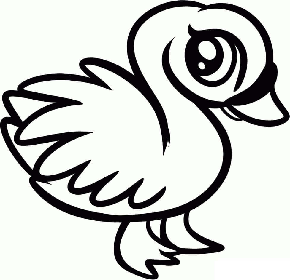 Sweet Swan coloring page