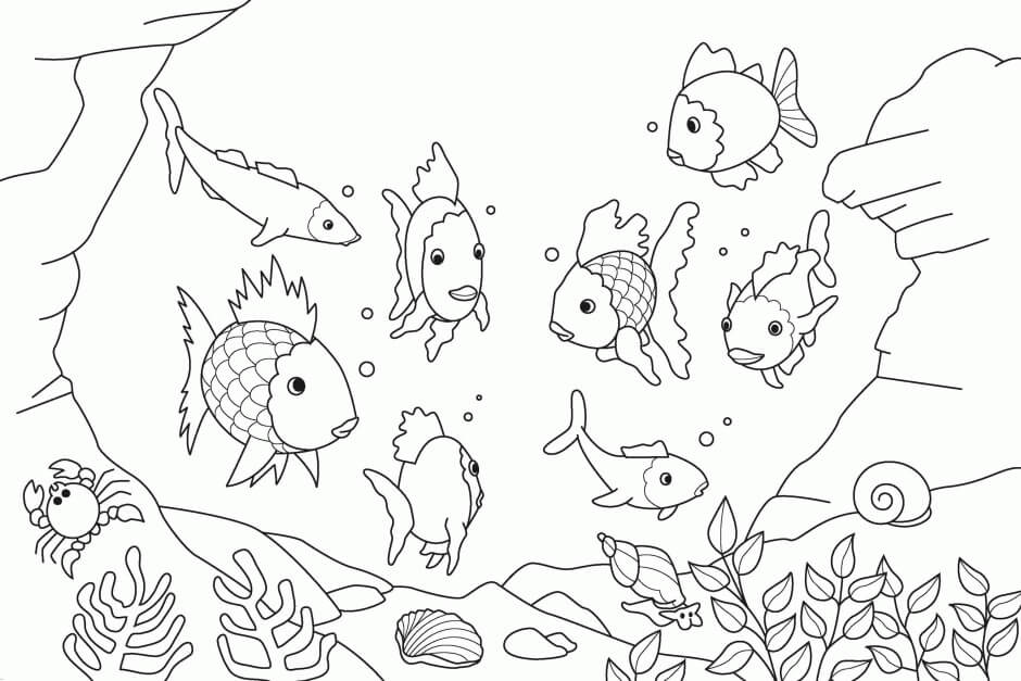 The Rainbow Fishes coloring page