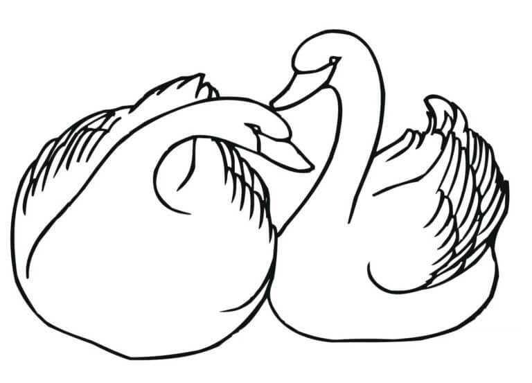 Wild Two Swans coloring page