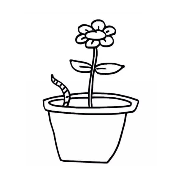 Worm In A Pot coloring page