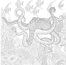 Zentangle Octopus coloring page