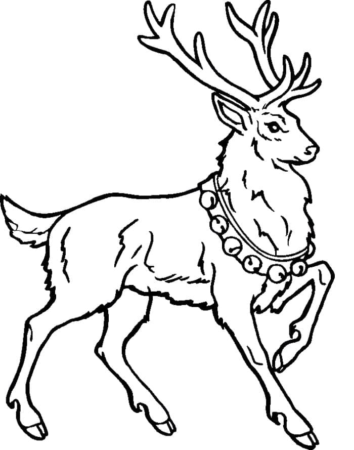 christmas reindeer coloring page