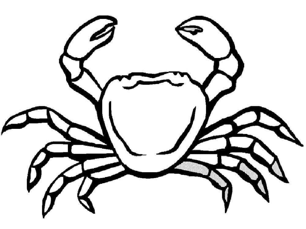 A Crab