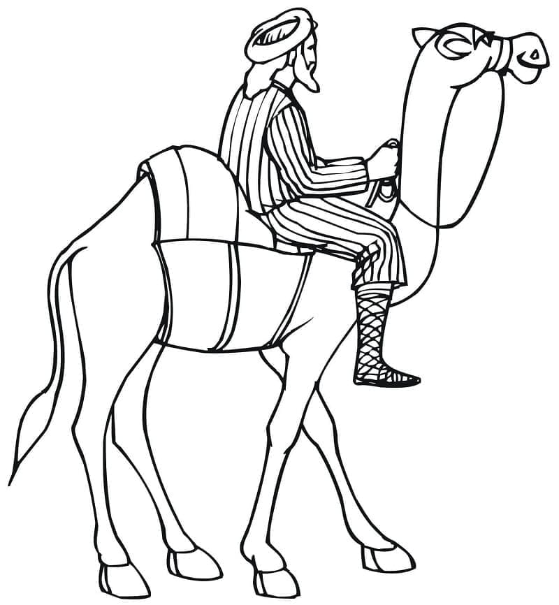 A Man is Riding Camel coloring page