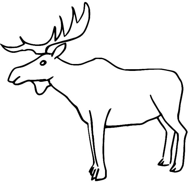 A Moose coloring page