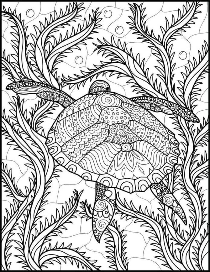 Algae And Turtle Relaxing coloring page