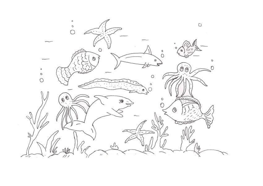 Animals Under the Sea coloring page