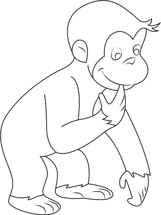 Awesome Curious George