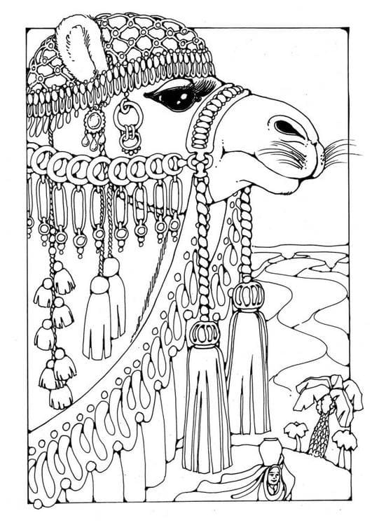 Beautiful Camel coloring page