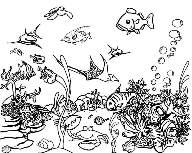 Beautiful Scene Under the Sea coloring page