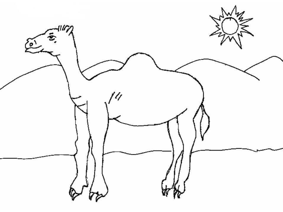 Camel and The Sun coloring page