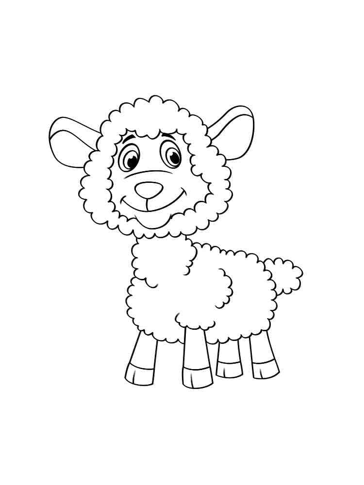 Cartoon Lamb